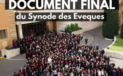 Document final du synode en français